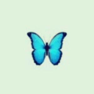 Meet your Posher, Cherish